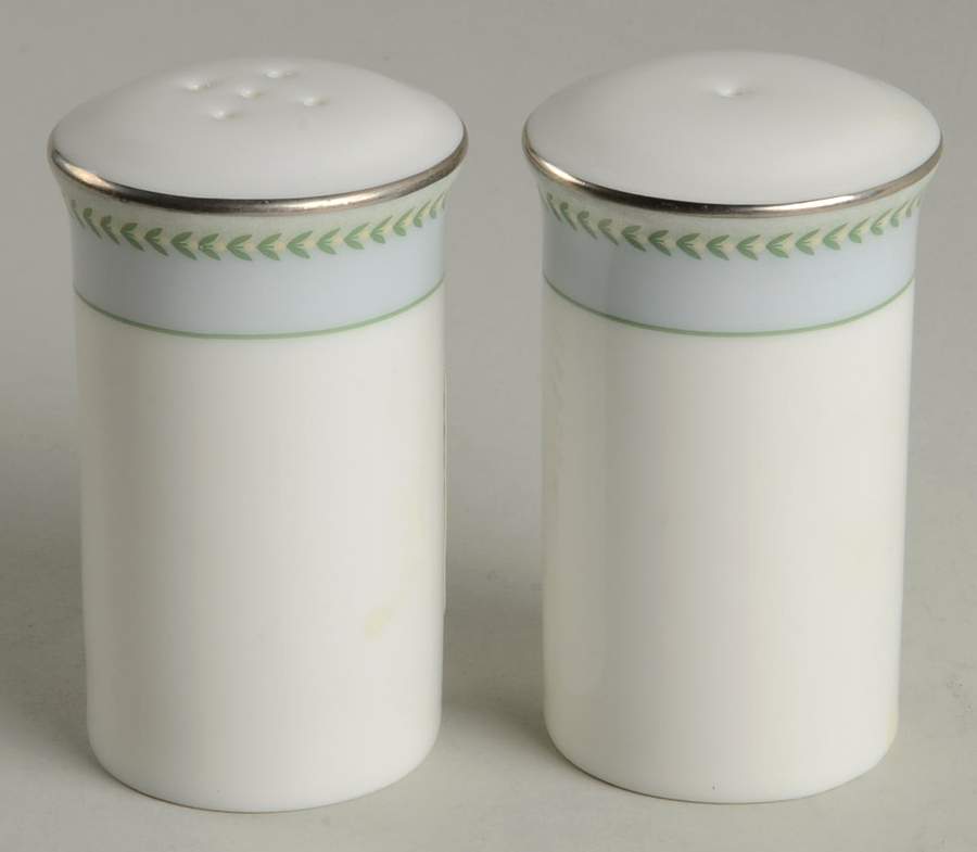 Etienne Platinum Salt & Pepper Set by Royal Doulton-1