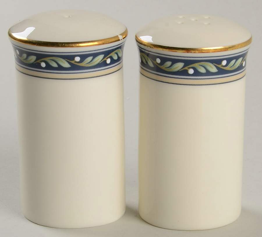 Oregon Salt & Pepper Set by Royal Doulton-1