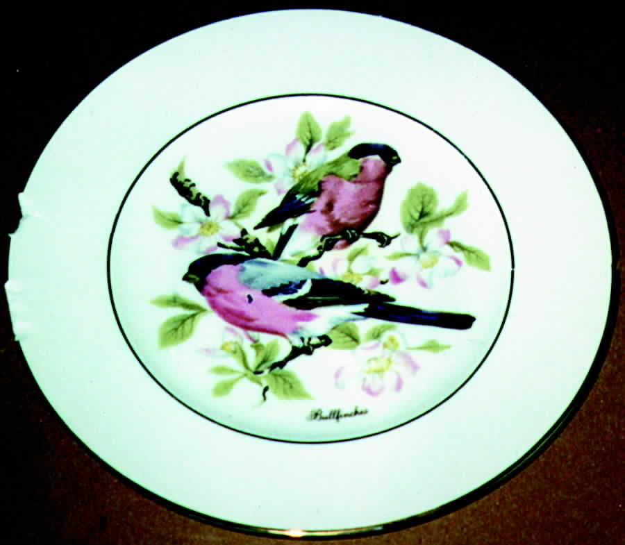 ROU1 Dinner Plate by Royal Burlington-1