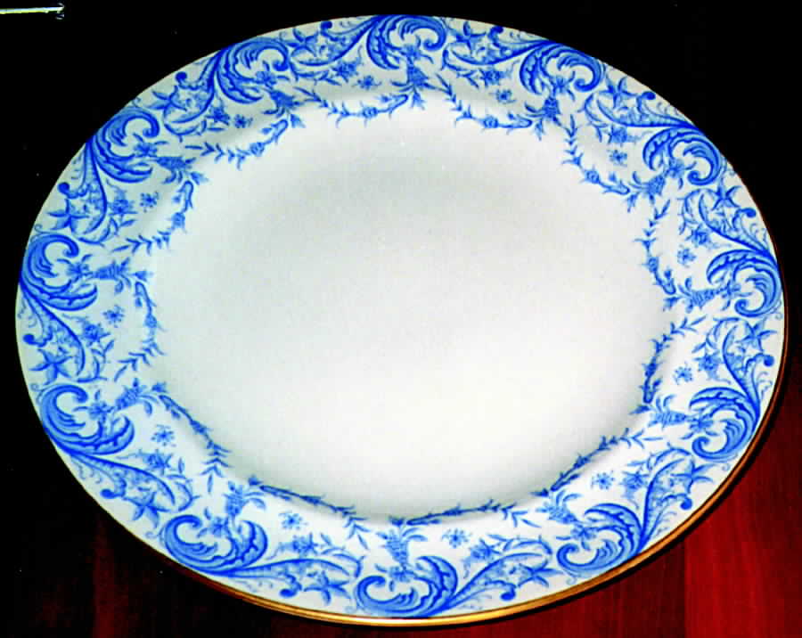 W4076 Dinner Plate by Royal Worcester-1