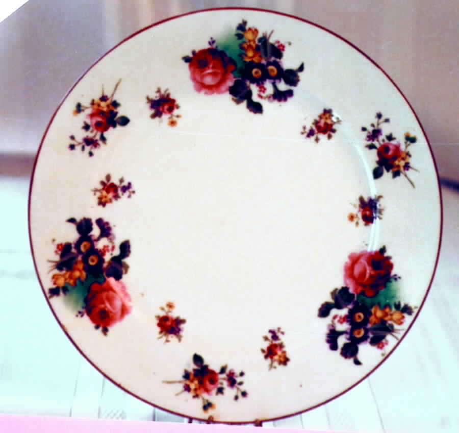 V4527 Dinner Plate by Royal Cauldon-1