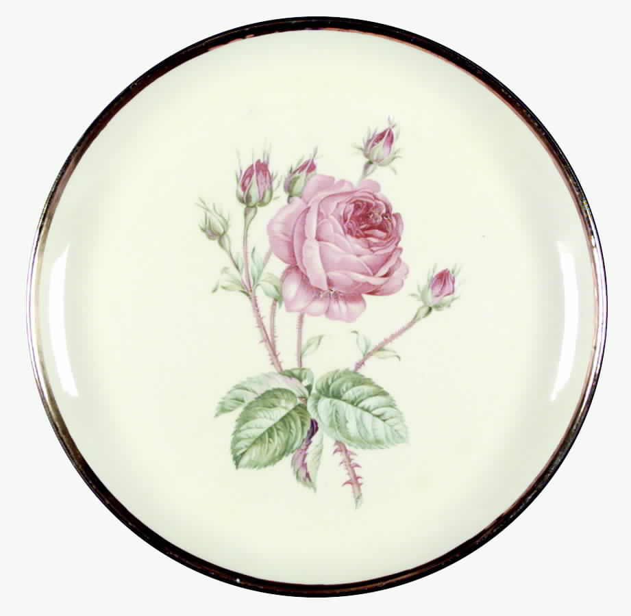 RYL83 Dinner Plate by Royal (USA)-1