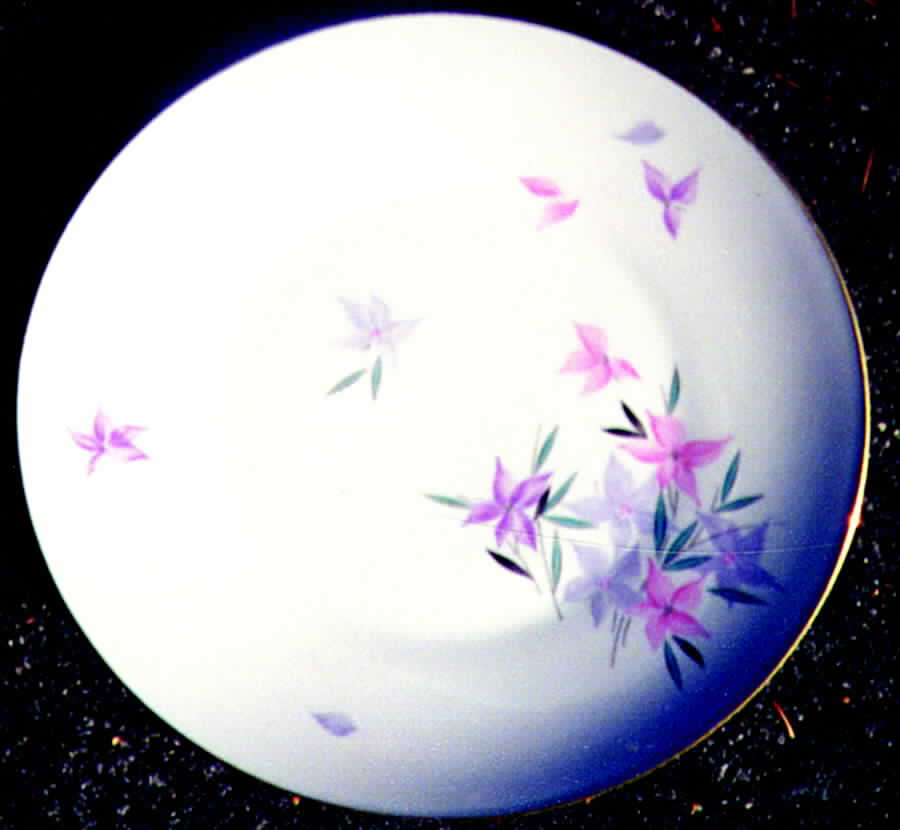 R613 Dinner Plate by Rosenthal - Continental-1