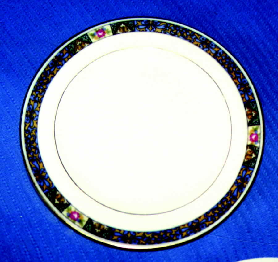 ROB166 Dinner Plate by Royal Bayreuth-1