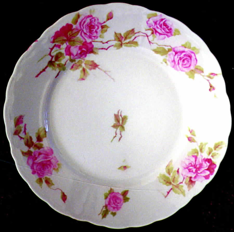 R616 Dinner Plate by Rosenthal - Continental-1