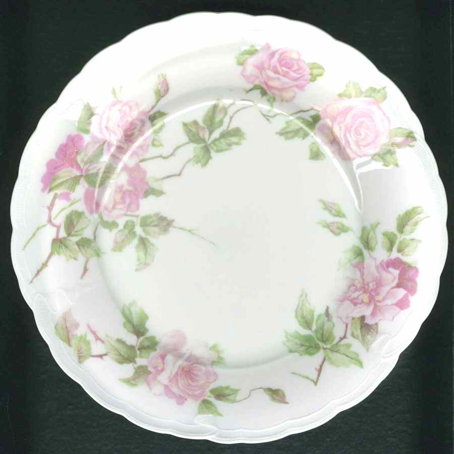 R616 Salad Plate by Rosenthal - Continental-1