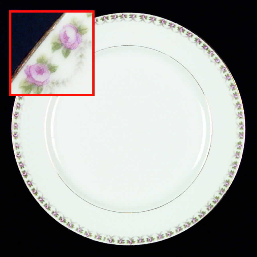 RSC17 Dinner Plate by Royal Schwarzburg-1
