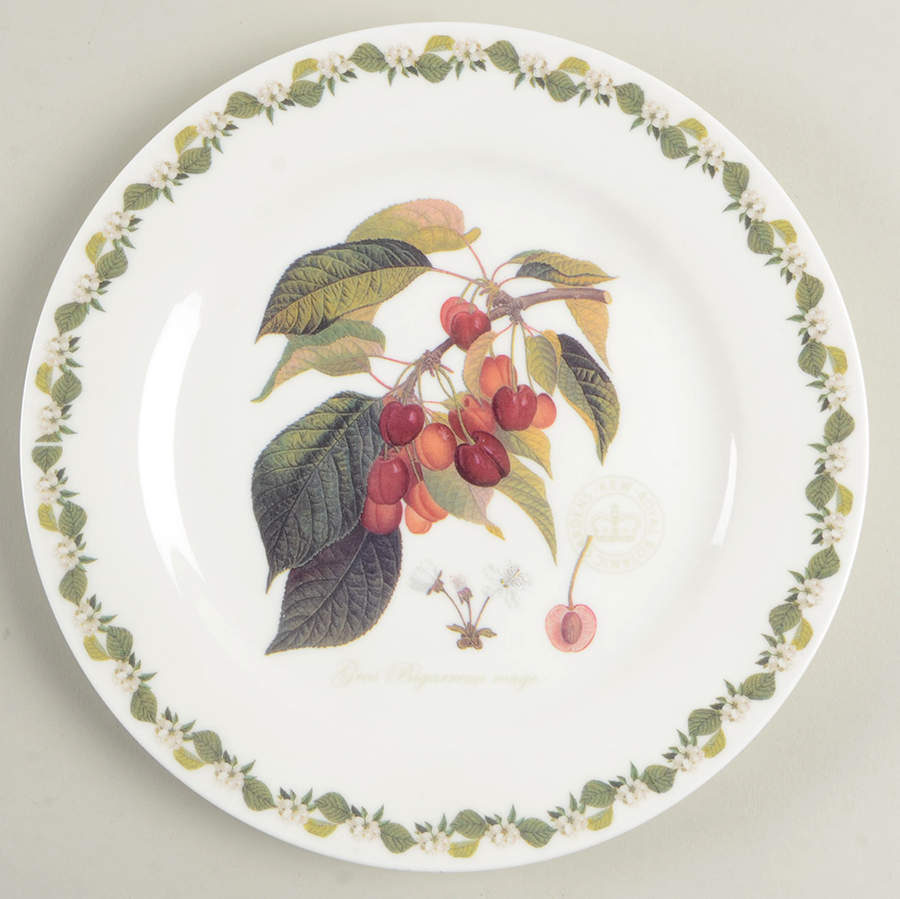 Royal Botanic Gardens Salad Plate by Rosina-Queens-1