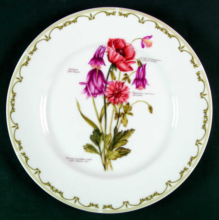 Royal Botanic Gardens Dinner Plate by Rosina-Queens-1