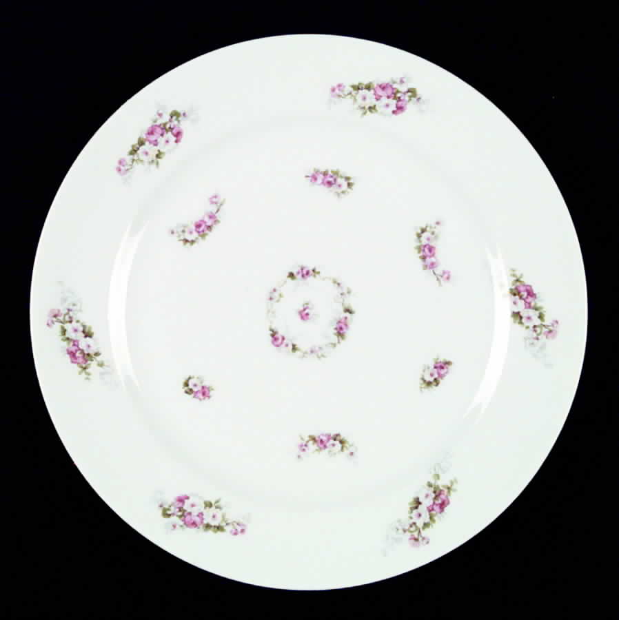 RDN42 Dinner Plate by M Redon-1