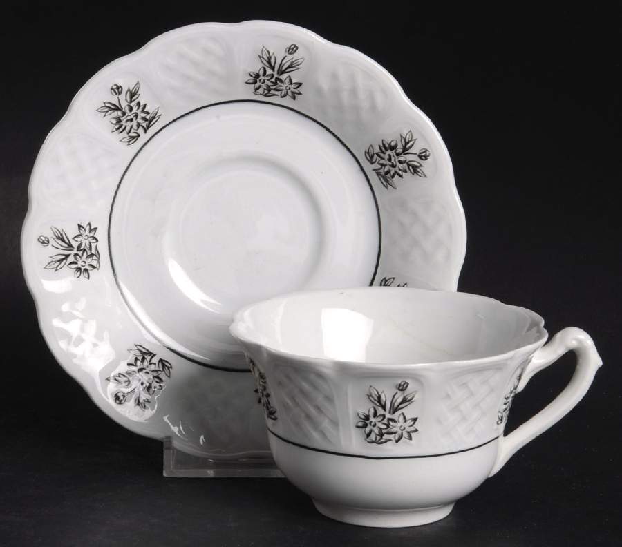 Winter Garden Flat Cup & Saucer Set by Royal Cauldon-1
