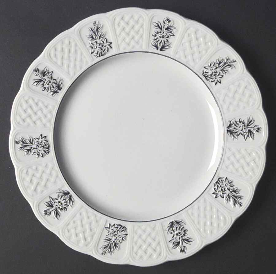Winter Garden Dinner Plate by Royal Cauldon-1