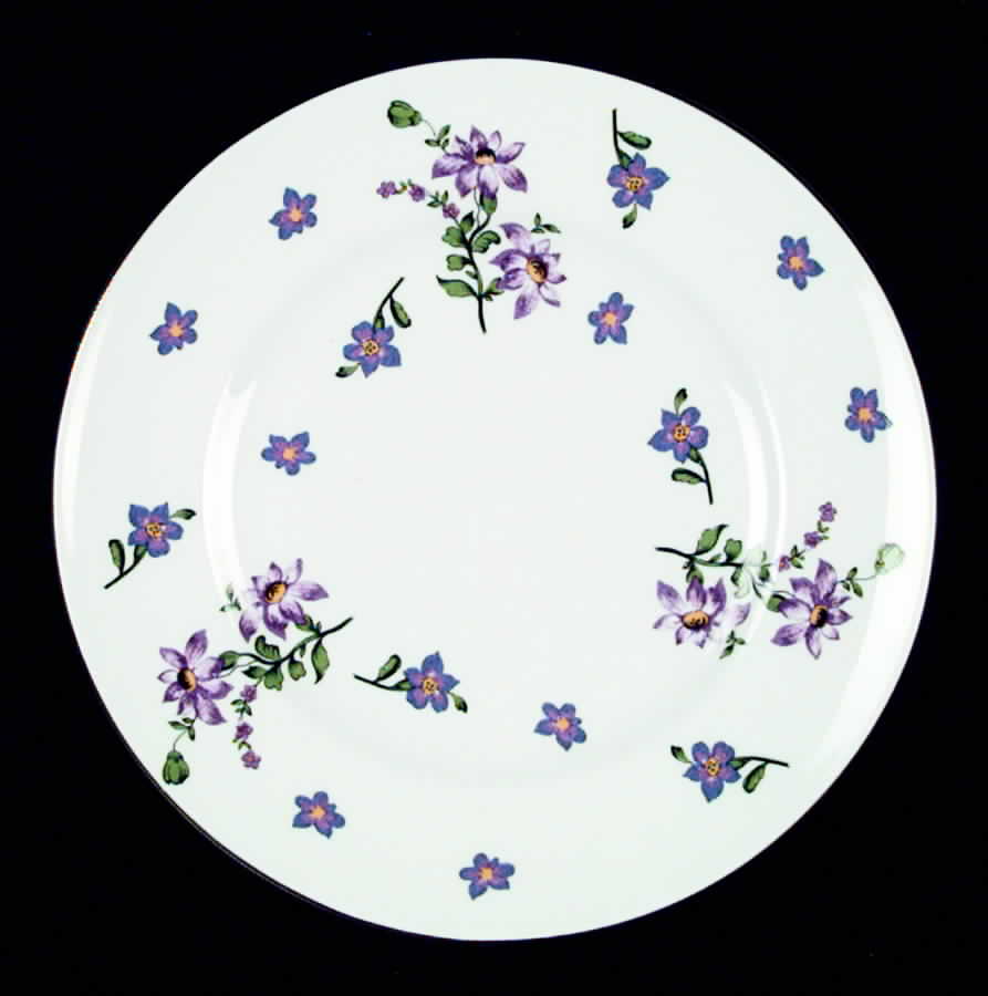 ROV8 Salad Plate by Royal Victoria-1