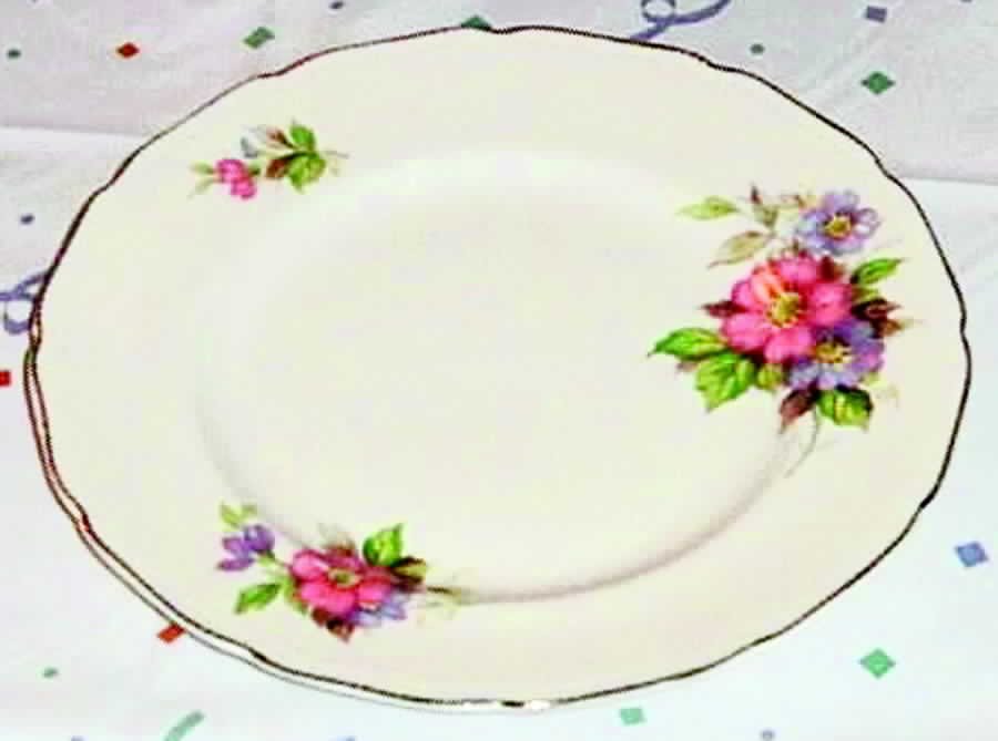 RSN2 Dinner Plate by Royal Swan-1