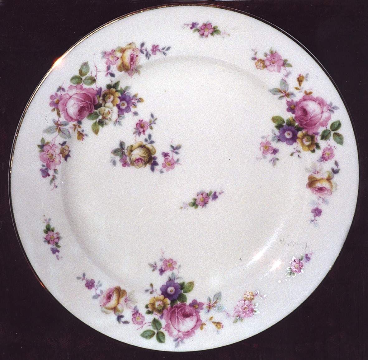ROI23 Dinner Plate by Royal Ivory (Czech, Germany)-1