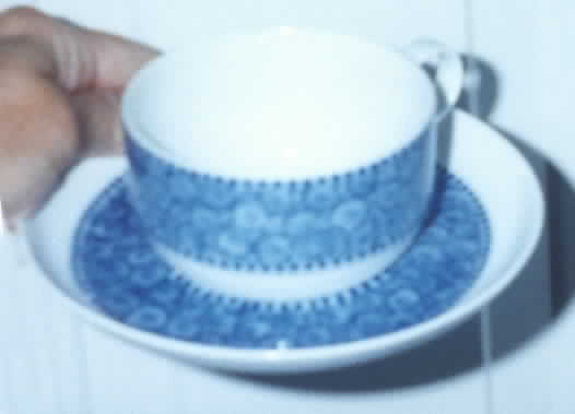 Nordic Cobalt Flat Cup & Saucer Set by Rosenthal - Continental-1