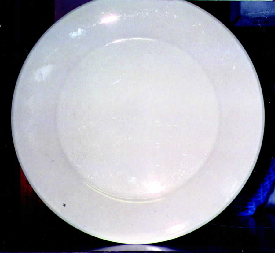 ROD3 Dinner Plate by Royal Devon-1