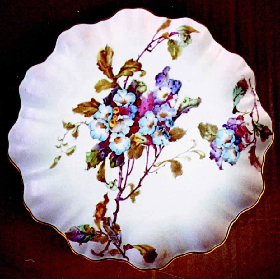 C2749 Salad Plate by Royal Doulton-1
