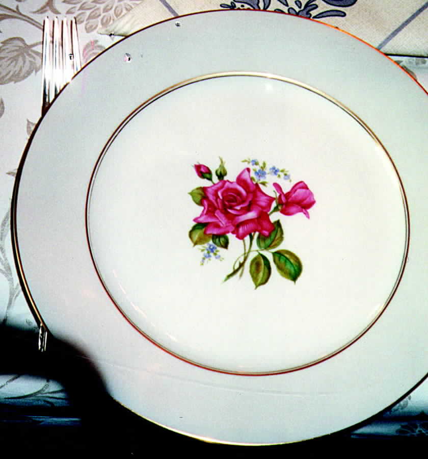 R643 Dinner Plate by Rosenthal - Continental-1