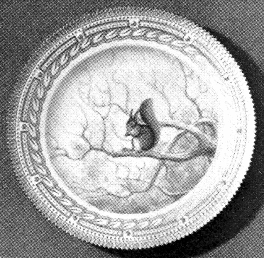 Flora Danica Game Series (Animals) Dinner Plate by Royal Copenhagen-1