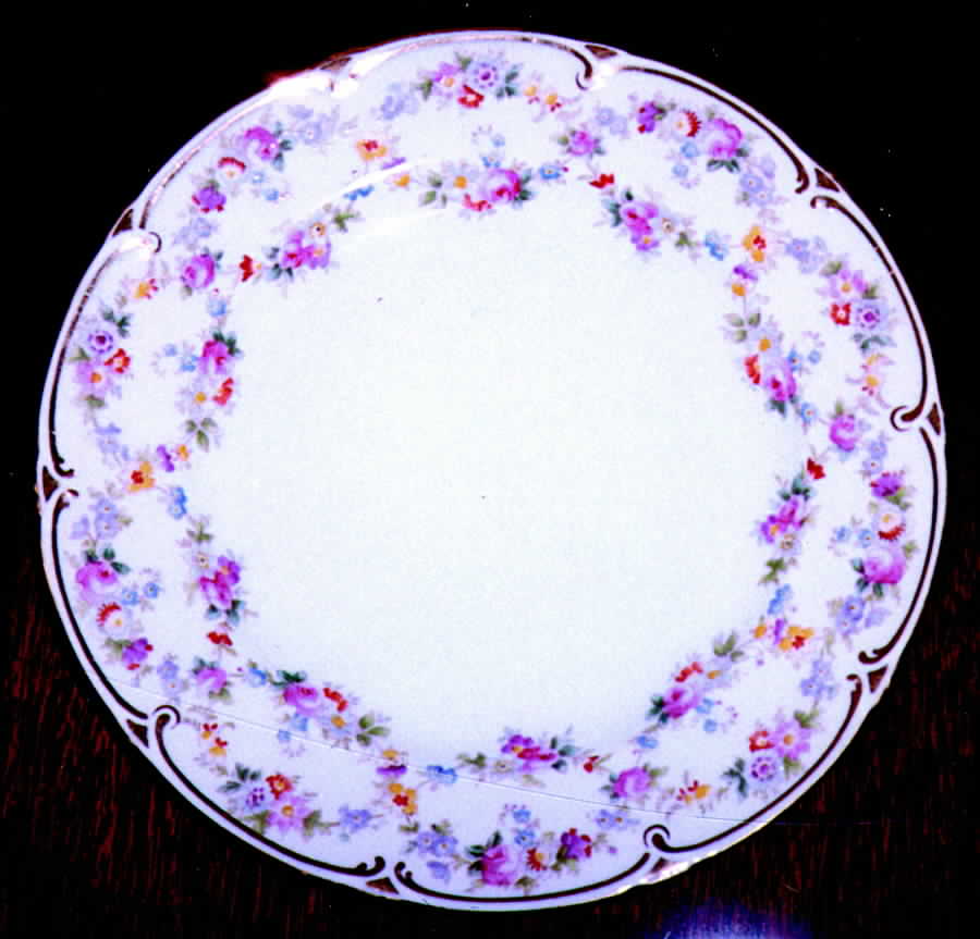 L54 Salad Plate by Royal Cauldon-1