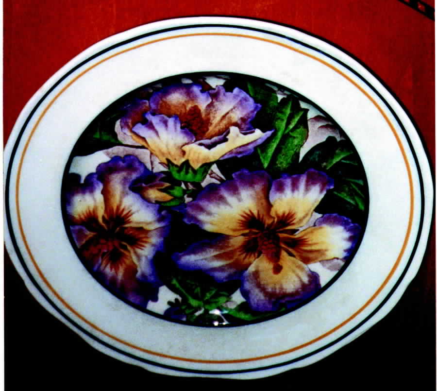 ROC59 Dinner Plate by Royal Cauldon-1