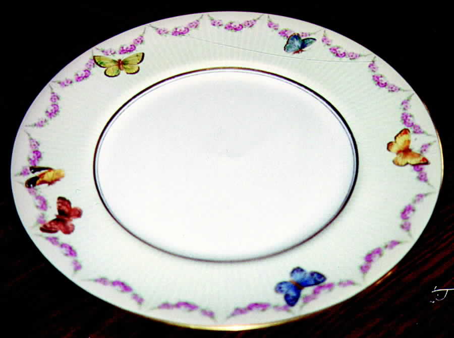 RA8435 Dinner Plate by Royal Doulton-1