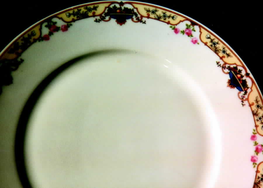 RUD8 Dinner Plate by Rudolstadt-1