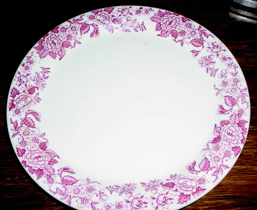ROJ132 Dinner Plate by Royal Jackson-1