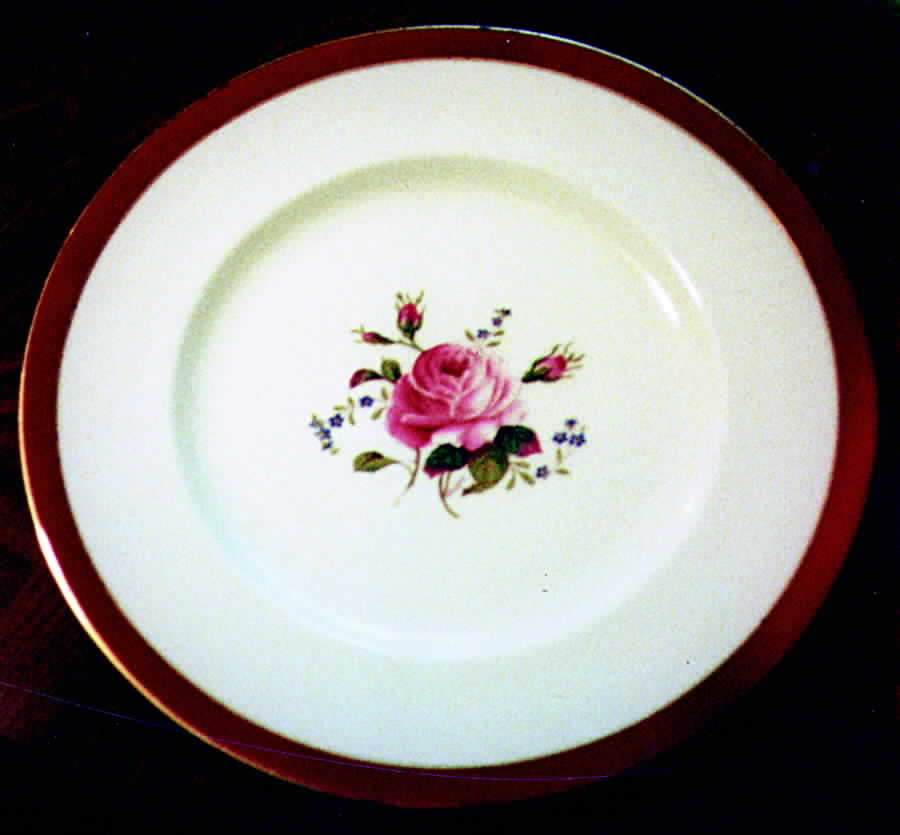Sulgrave Dinner Plate by Royal Swansea-1