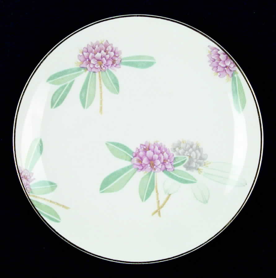 RYD9 Dinner Plate by Raynaud-1