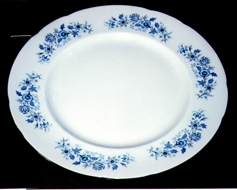 Festival Dinner Plate by Royal Standard-1