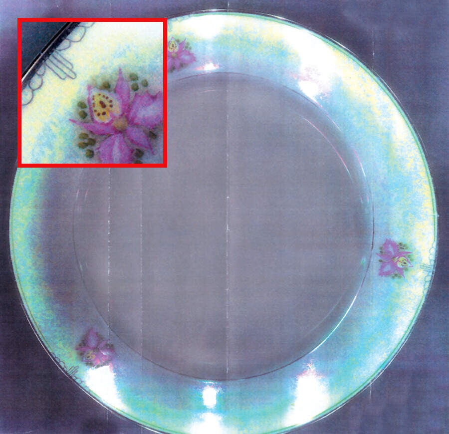 Orchid (Oakland) Dinner Plate by Rosenthal - Continental-1
