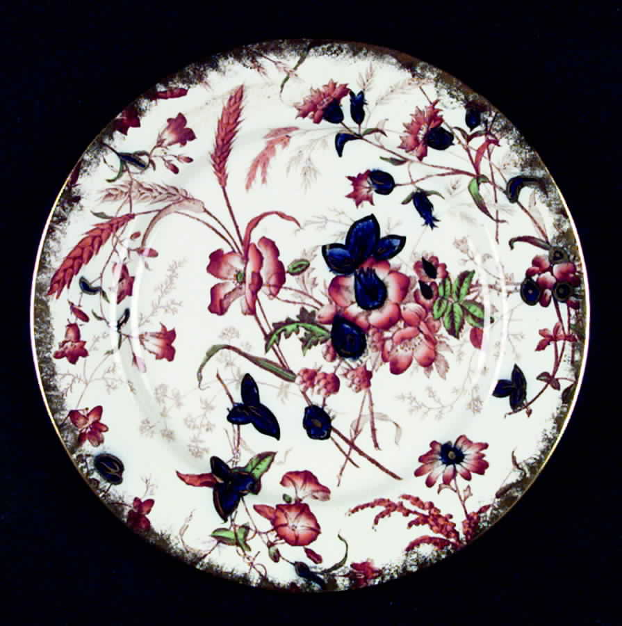 X2501-H Luncheon Plate by Royal Cauldon-1