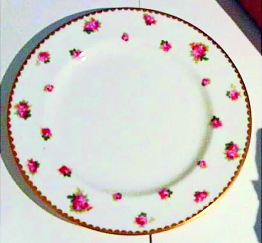 E2818 Dinner Plate by Royal Doulton-1