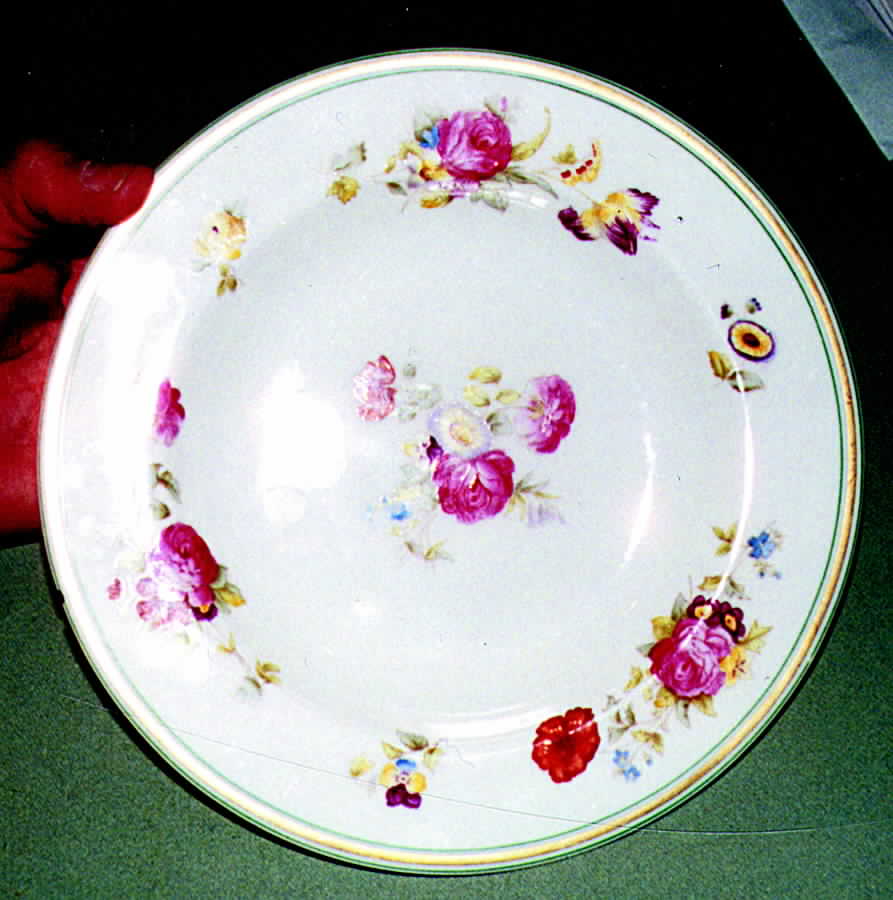 ROC60 Dinner Plate by Royal Cauldon-1