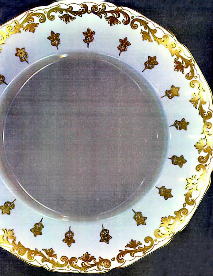 HB5737 Dinner Plate by Royal Doulton-1