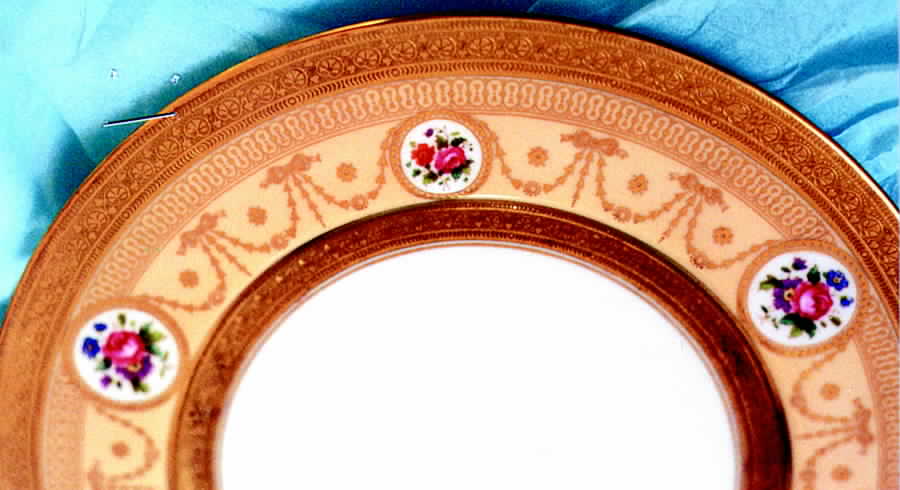 V3694 Dinner Plate by Royal Cauldon-1