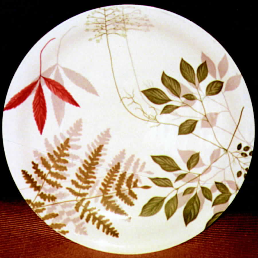 Woodland Ferns (Form E Shape) Dinner Plate by Rosenthal - Continental-1