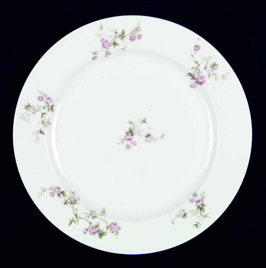 RDN47 Dinner Plate by M Redon-1