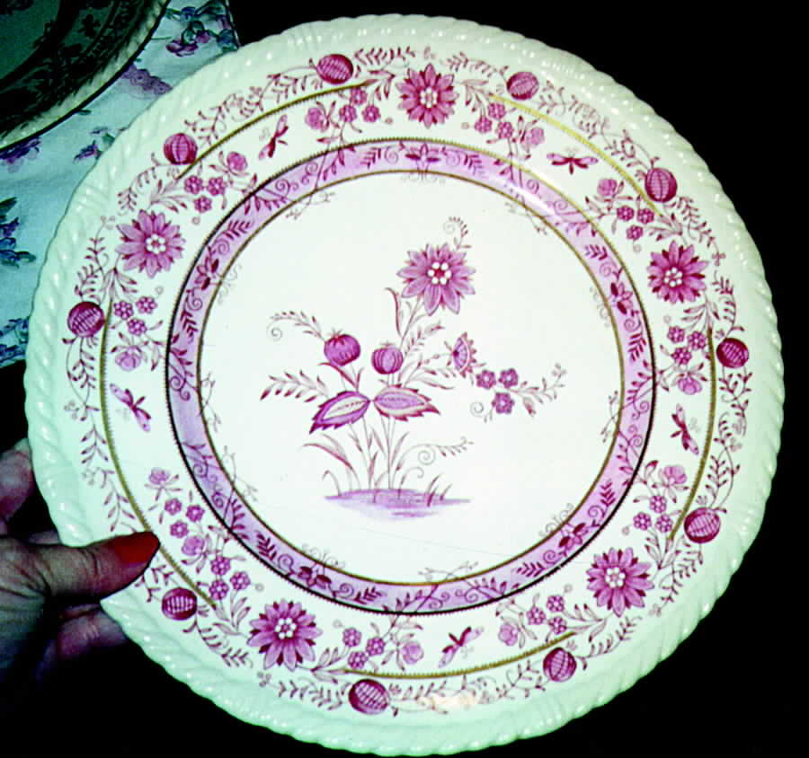 ROC61 Dinner Plate by Royal Cauldon-1