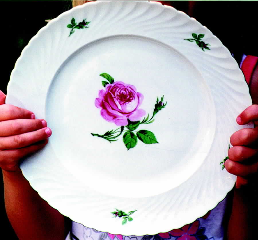 ROT128 Dinner Plate by Royal Tettau-1
