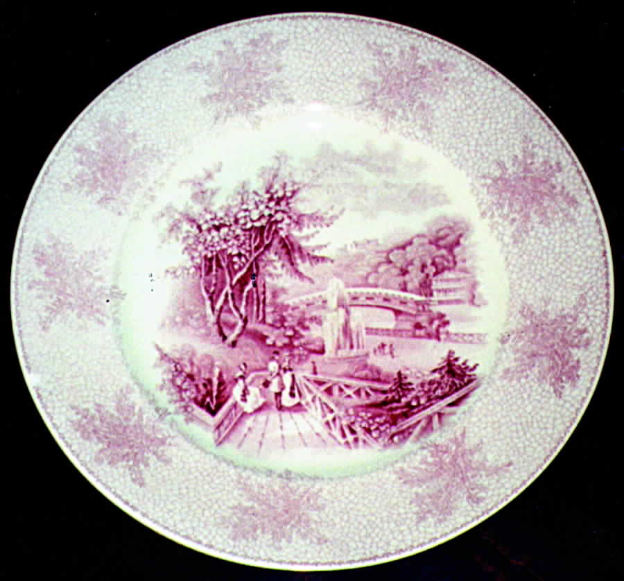 Catskill Moss Pink Dinner Plate by Ridgway (Ridgways)-1