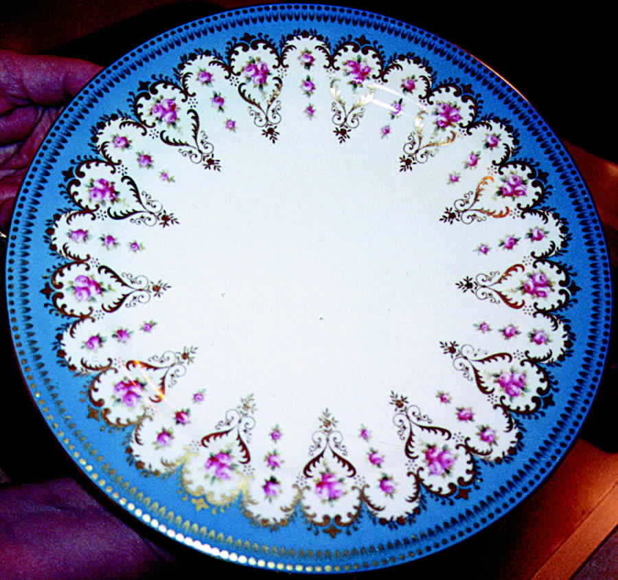 ROC63 Dinner Plate by Royal Cauldon-1