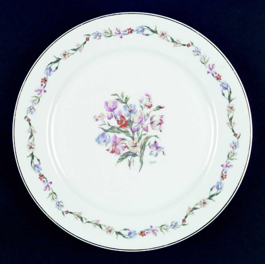 RYD10 Dinner Plate by Raynaud-1
