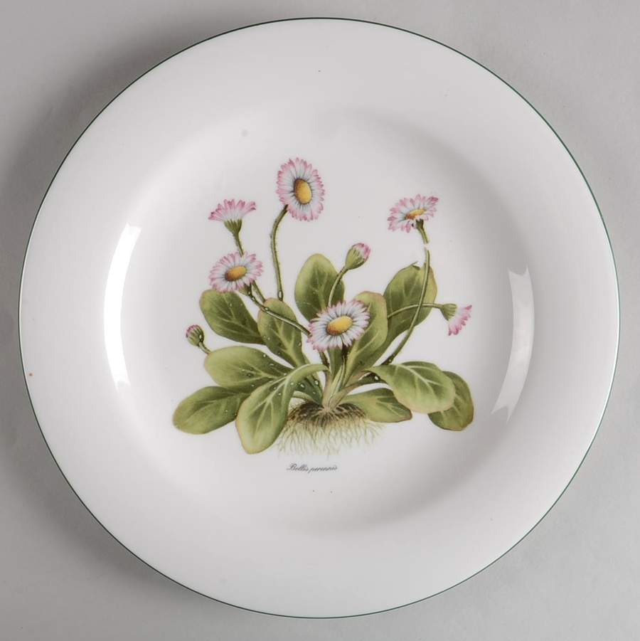 RVA20 Dinner Plate by Royal Vale-1