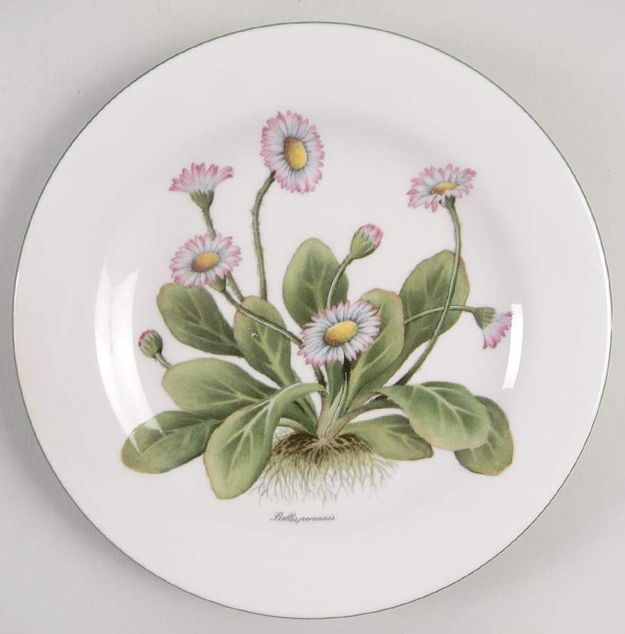 RVA20 Salad Plate by Royal Vale-1