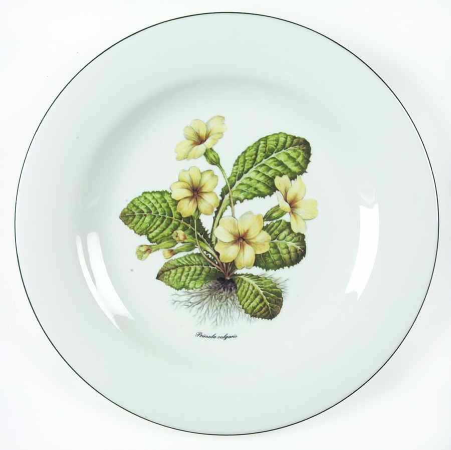 RVA20 Dinner Plate by Royal Vale-1