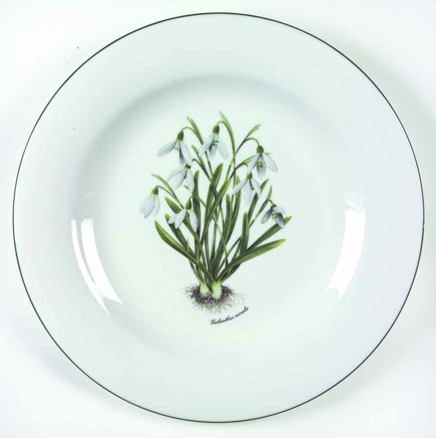 RVA20 Dinner Plate by Royal Vale-1