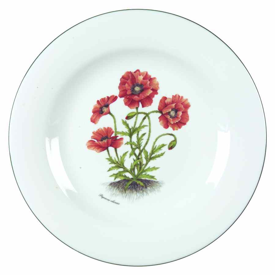 RVA20 Dinner Plate by Royal Vale-1